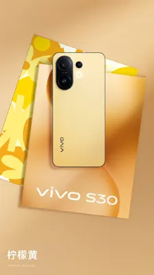 vivo S30